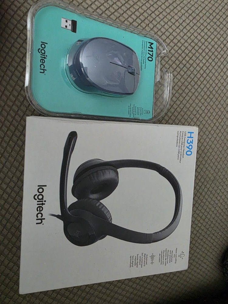 USB Logitech Headset and Wireless Mouse