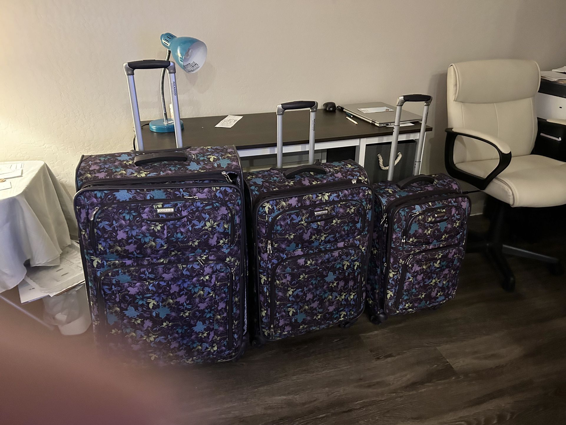 Ricardo 3 Pc Luggage Set