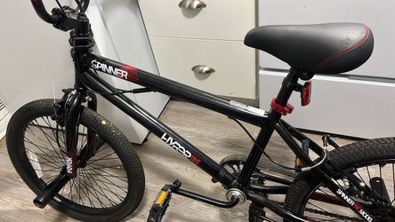 Spinner kids bike