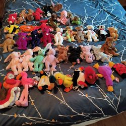 Beanie Babies, lot of 42
