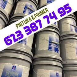 Pintura Blanca Y Material 