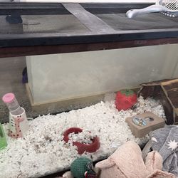 55 gallon hamster cage