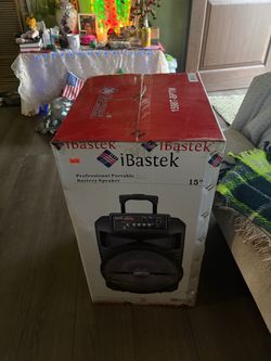 Speaker and Mic