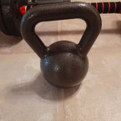 20 Lb Dumbell
