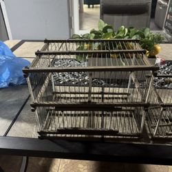 Bird Cage 