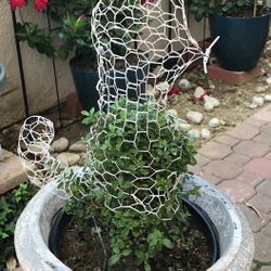 Topiary Frame - Cat Shape