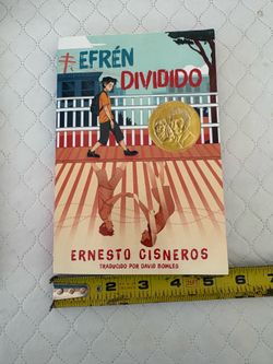 Efrén Dividido : Efrén Divided (Spanish Edition) by Ernesto Cisneros (2023,...
