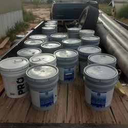 New Paint 