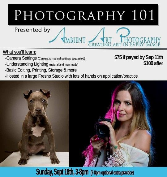Beginners Digital Photography Class