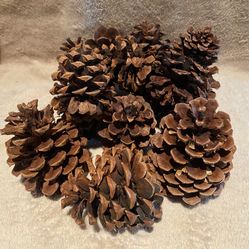 Pine Cones, For Crafts, Fireplace $2.00