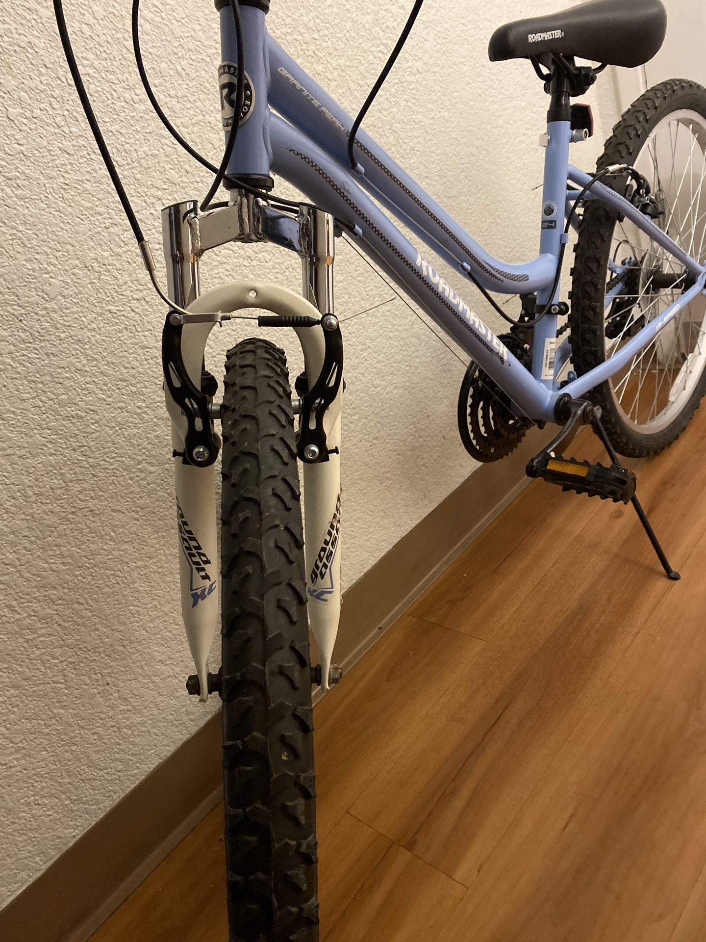 Roadmaster 24 inch best sale girls granite peak