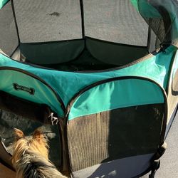 Kennel 