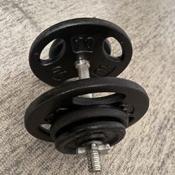 35lb Adjustable Steel Dumbbell