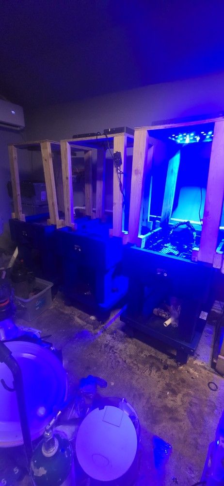 3-custom Made Frag Tanks For Sale.