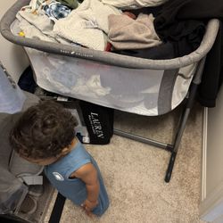 Baby Delight Bassinet 
