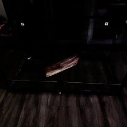 75 Gallon Terrarium w/ Doors