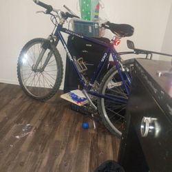 Singletrack Women's Bike!