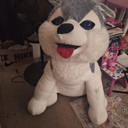 XXXL Beanie Plushy Husky