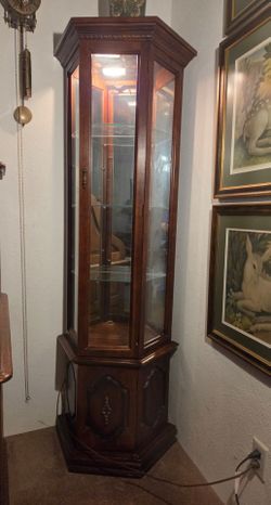 Lighted Wood and Glass Curio Display Cabinet