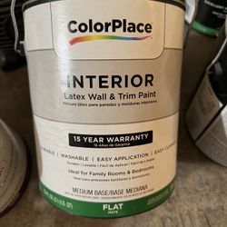 Paint Primer 