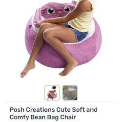 New Bean Bag For Kids