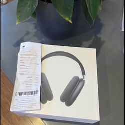 Air Pod Max