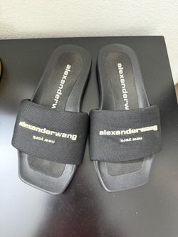 Alwxander wang