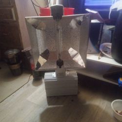 Grow Light And Ballistic Works Excellent 1000 Watt Bulb