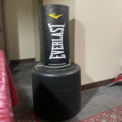 Everlast Powecore Punching Bag