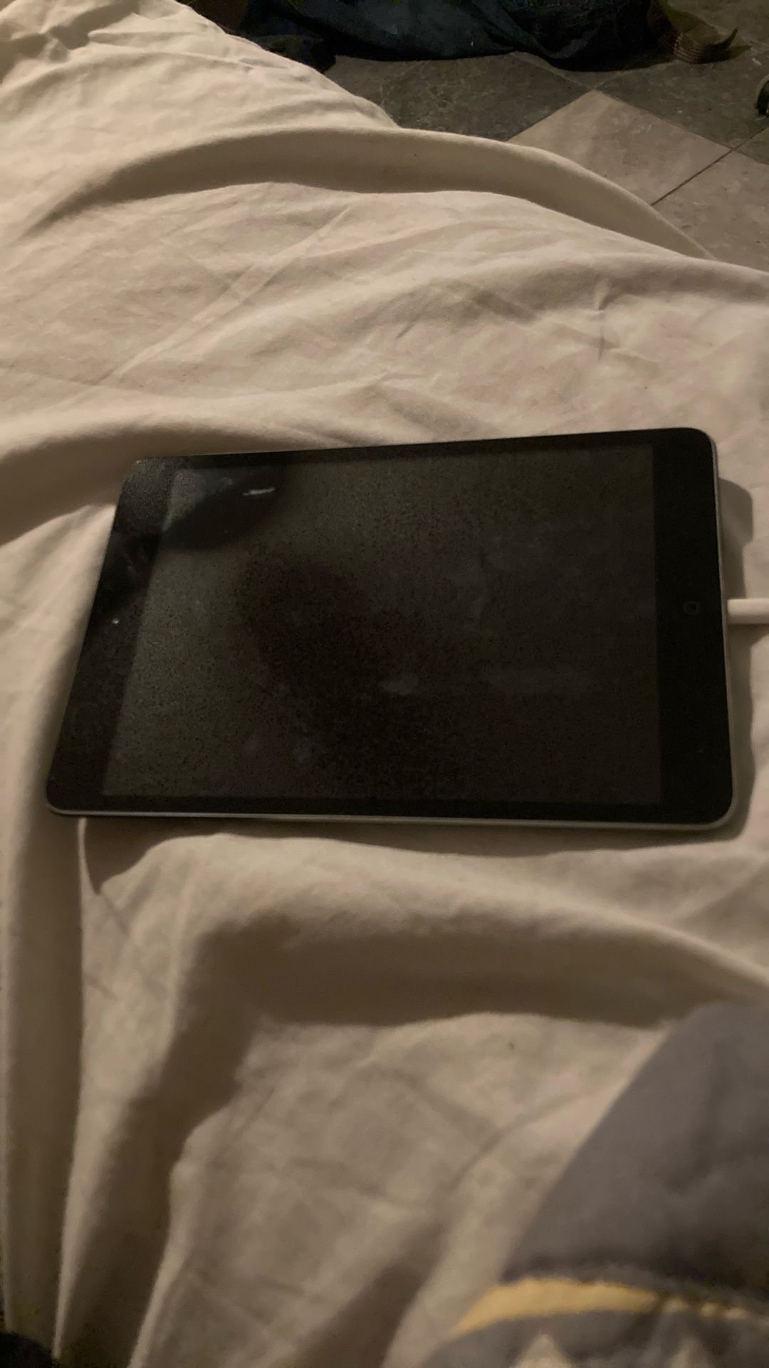Apple iPad