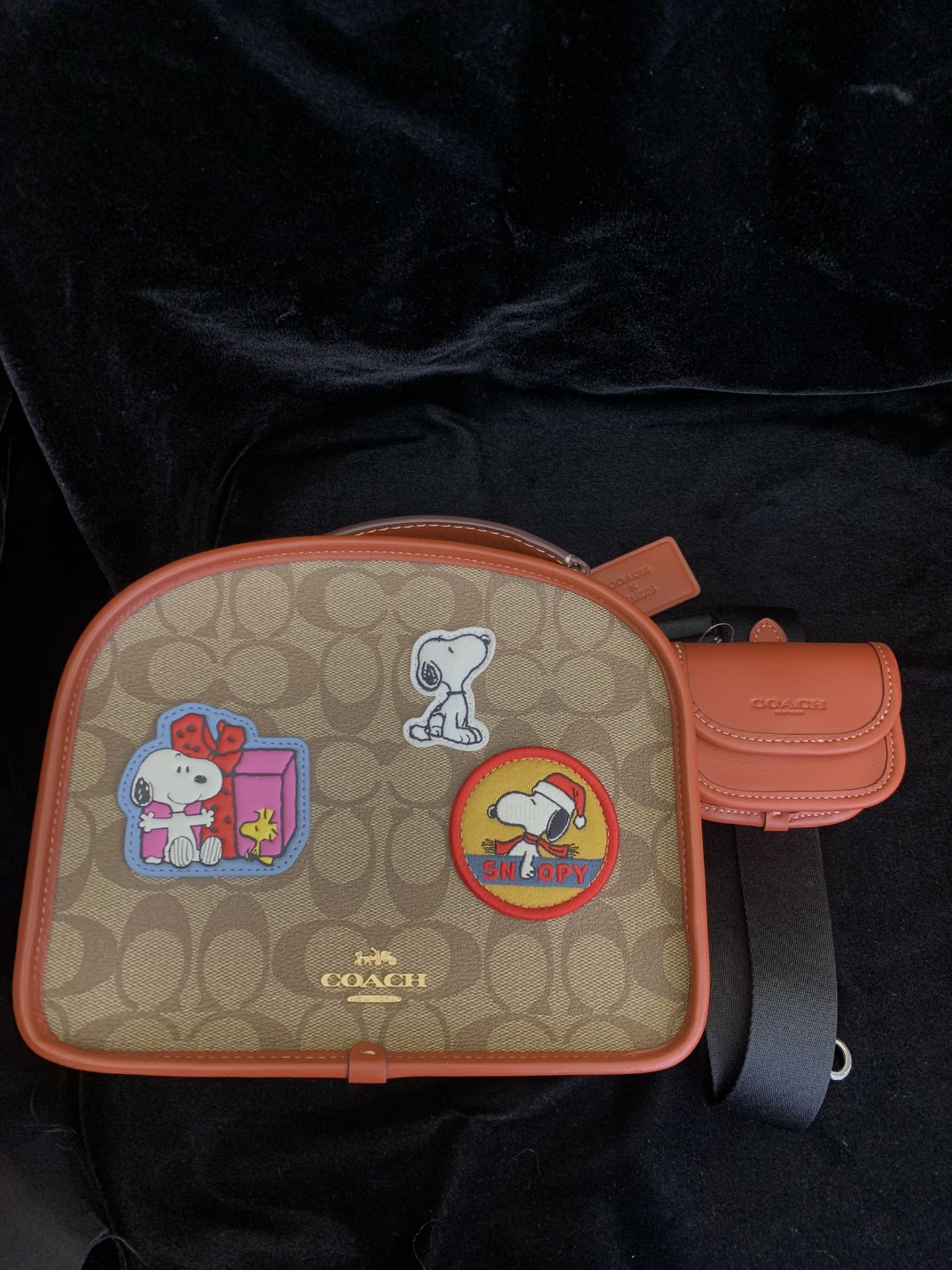 Coach Snoopy Bag I 4 9 9 8 7 - I