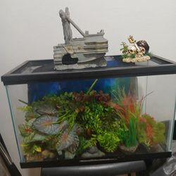 5 Gallon Fish Tank