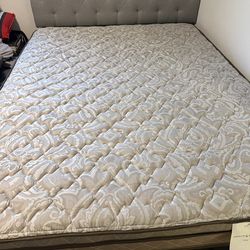Queen Bed Set - Like New