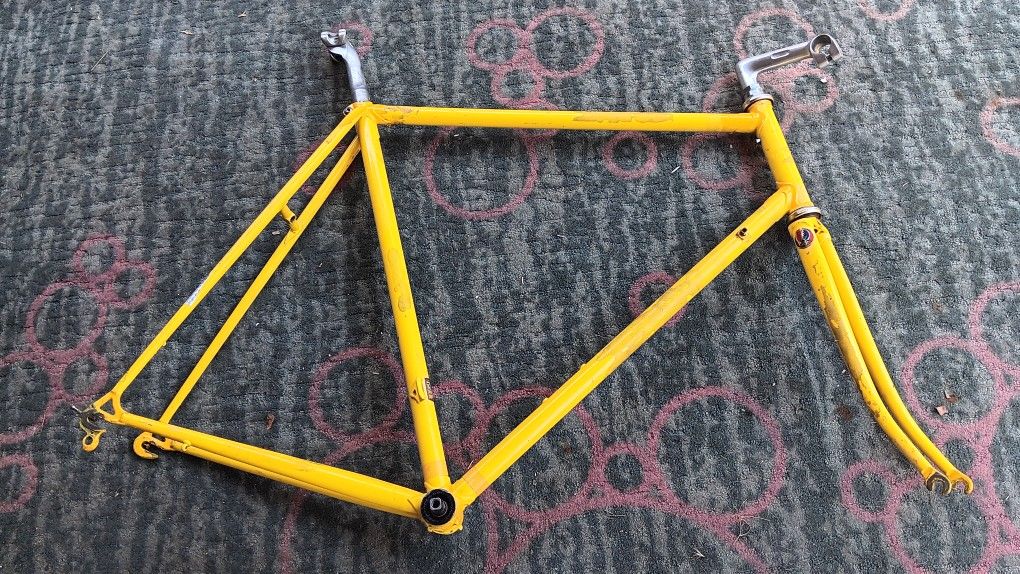 Medici 58 Cm Frameset (Campagnolo)