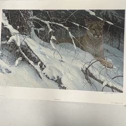 Robert Bateman Signed And Numbered 11,610/11,857 Lithograph “Cougar In The Snow”