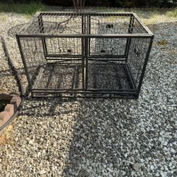 Dog Kennel 