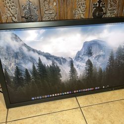 27” NEC LED MultiSync Professional Monitor