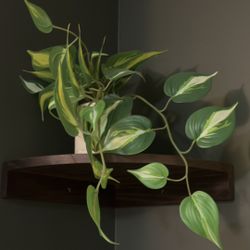 Various Faux Plants