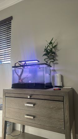 Fish Tank 10 Gallon 