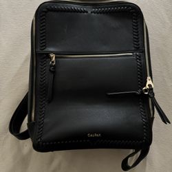 CALPAK backpack/ Carryon Or Workbag 