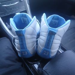 Jordan 12 "Melo's" Size 11