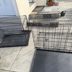 Dog kennels