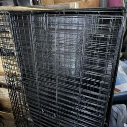 Amazon Basics XL Dog Crate