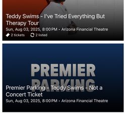 Teddy Swims Concert Tickets x2 