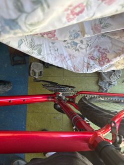 Specialized bike XL