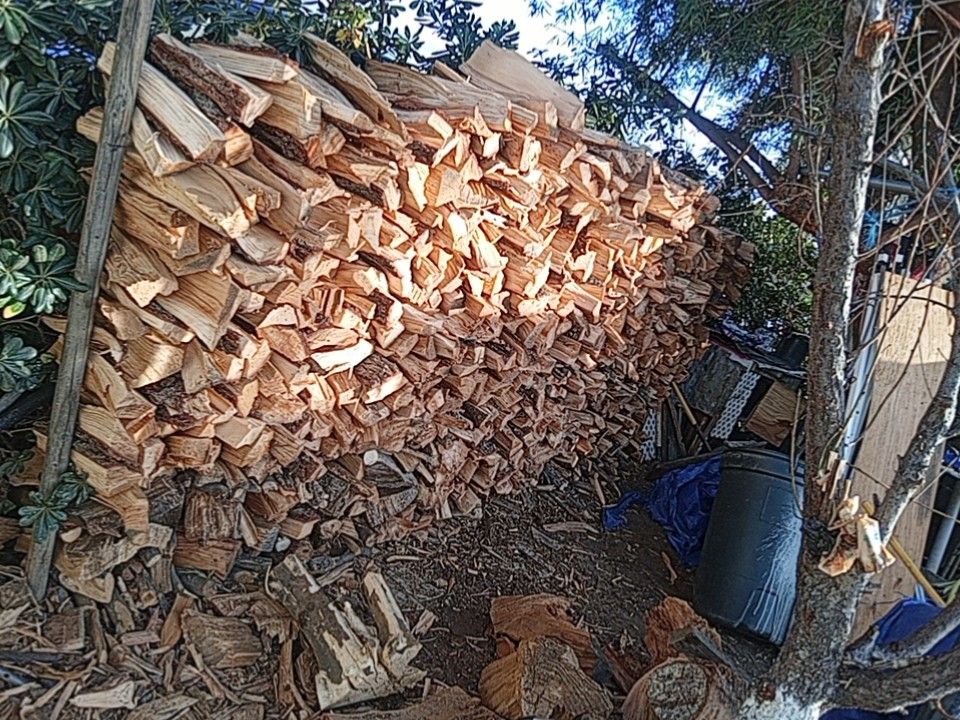 Firewood