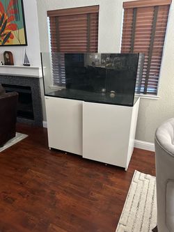 Saltwater aquarium