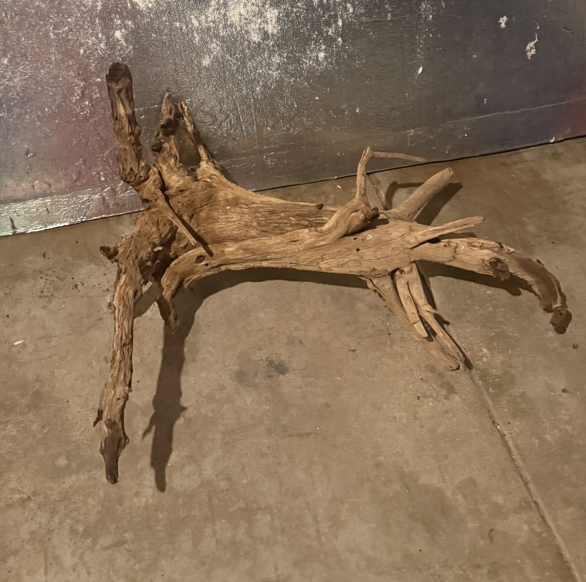 Driftwood