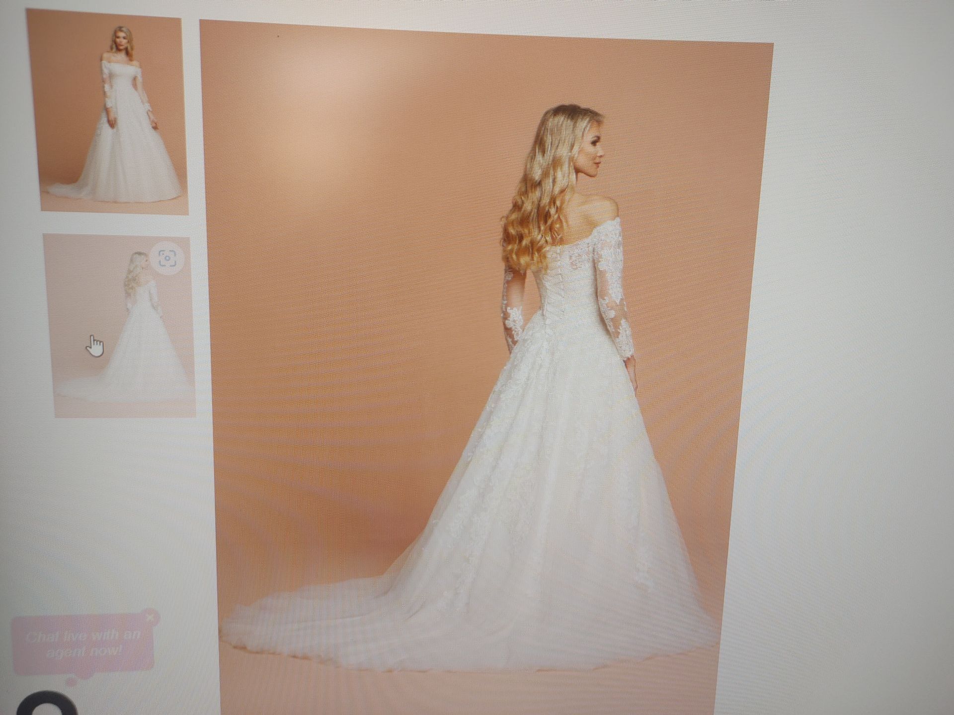 Wedding Dress /Davinci