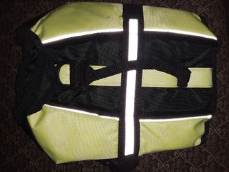 Dog life vest